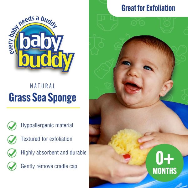 Baby Buddy Natural Grass Sea Sponge, Newborn Bath Time Essential, Textured for Exfoliation, Hypoallergenic, 1 Count - Image 21