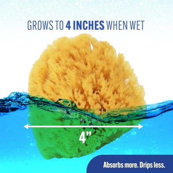 Baby Buddy Natural Grass Sea Sponge, Newborn Bath Time Essential, Textured for Exfoliation, Hypoallergenic, 1 Count - Image 23